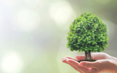 Big data confirma: La sociedad cada vez más implicada en la sostenibilidad del planeta